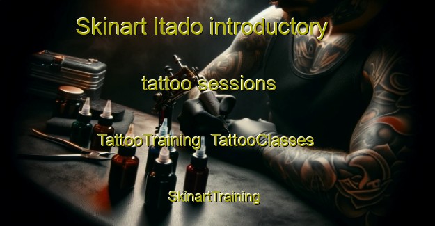 Skinart Itado introductory tattoo sessions | TattooTraining | TattooClasses | SkinartTraining-Japan