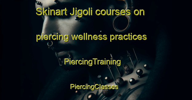 Skinart Jigoli courses on piercing wellness practices | PiercingTraining | PiercingClasses | SkinartTraining-Japan