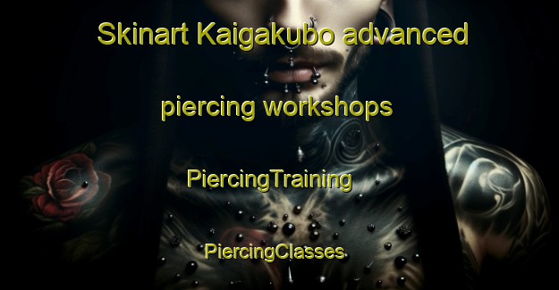 Skinart Kaigakubo advanced piercing workshops | PiercingTraining | PiercingClasses | SkinartTraining-Japan