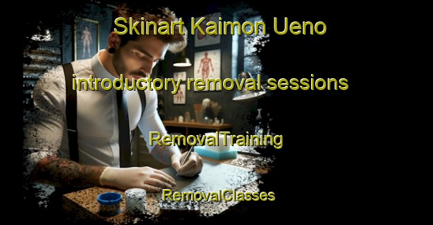 Skinart Kaimon Ueno introductory removal sessions | RemovalTraining | RemovalClasses | SkinartTraining-Japan