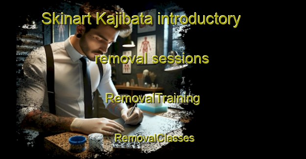 Skinart Kajibata introductory removal sessions | RemovalTraining | RemovalClasses | SkinartTraining-Japan