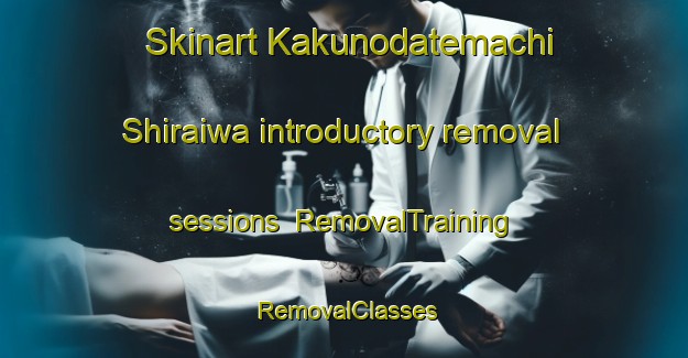 Skinart Kakunodatemachi Shiraiwa introductory removal sessions | RemovalTraining | RemovalClasses | SkinartTraining-Japan