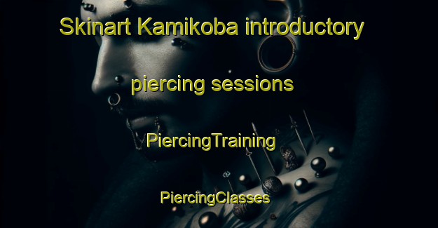 Skinart Kamikoba introductory piercing sessions | PiercingTraining | PiercingClasses | SkinartTraining-Japan