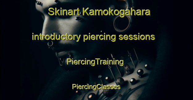 Skinart Kamokogahara introductory piercing sessions | #PiercingTraining #PiercingClasses #SkinartTraining-Japan