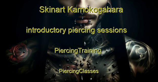 Skinart Kamokogahara introductory piercing sessions | #PiercingTraining #PiercingClasses #SkinartTraining-Japan