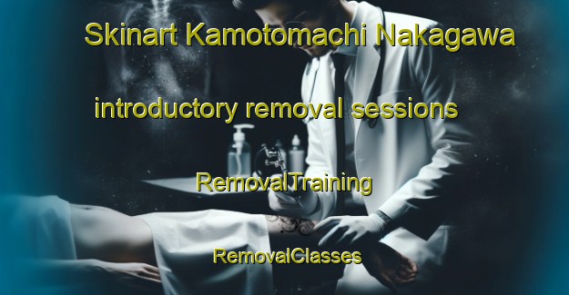 Skinart Kamotomachi Nakagawa introductory removal sessions | RemovalTraining | RemovalClasses | SkinartTraining-Japan