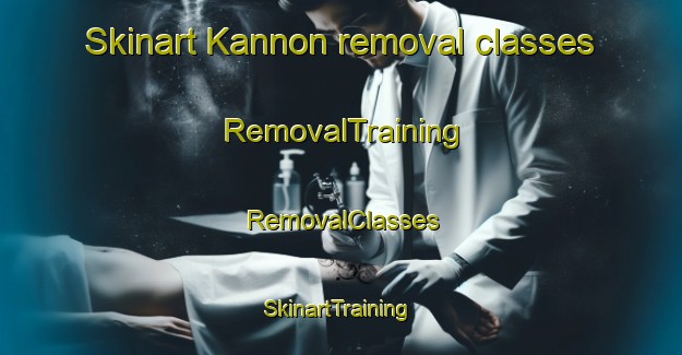 Skinart Kannon removal classes | RemovalTraining | RemovalClasses | SkinartTraining-Japan