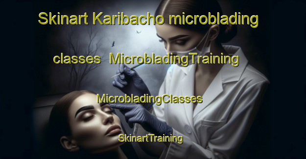 Skinart Karibacho microblading classes | MicrobladingTraining | MicrobladingClasses | SkinartTraining-Japan