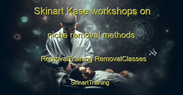 Skinart Kase workshops on niche removal methods | #RemovalTraining #RemovalClasses #SkinartTraining-Japan