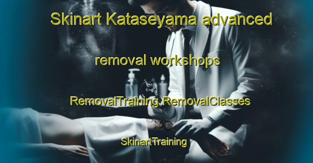 Skinart Kataseyama advanced removal workshops | #RemovalTraining #RemovalClasses #SkinartTraining-Japan