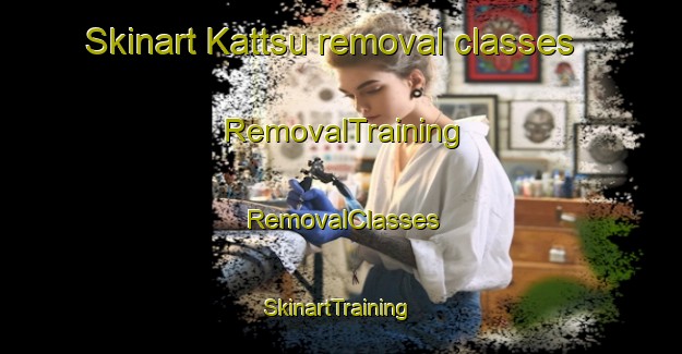 Skinart Kattsu removal classes | RemovalTraining | RemovalClasses | SkinartTraining-Japan