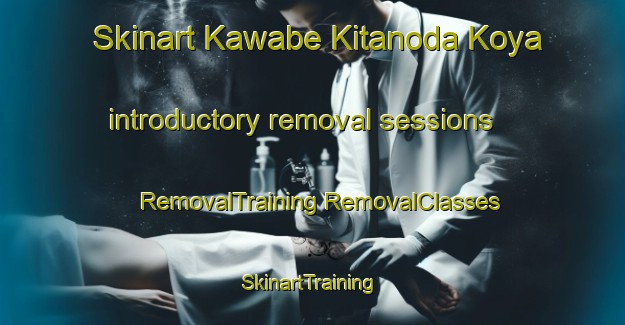 Skinart Kawabe Kitanoda Koya introductory removal sessions | #RemovalTraining #RemovalClasses #SkinartTraining-Japan