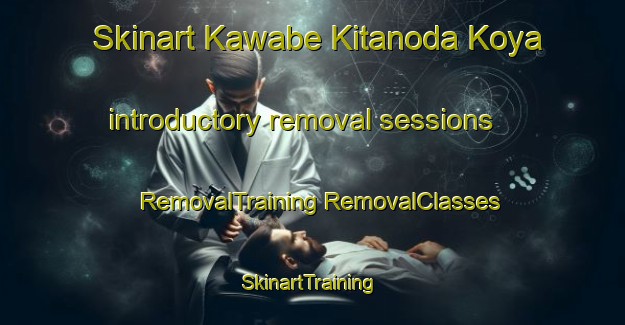 Skinart Kawabe Kitanoda Koya introductory removal sessions | #RemovalTraining #RemovalClasses #SkinartTraining-Japan