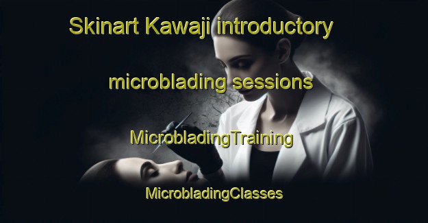 Skinart Kawaji introductory microblading sessions | #MicrobladingTraining #MicrobladingClasses #SkinartTraining-Japan