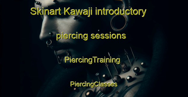 Skinart Kawaji introductory piercing sessions | #PiercingTraining #PiercingClasses #SkinartTraining-Japan