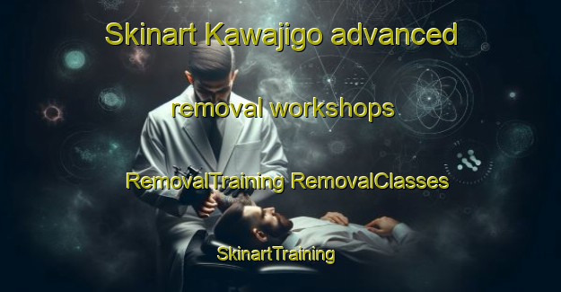 Skinart Kawajigo advanced removal workshops | #RemovalTraining #RemovalClasses #SkinartTraining-Japan