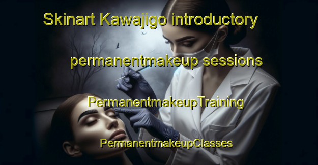 Skinart Kawajigo introductory permanentmakeup sessions | #PermanentmakeupTraining #PermanentmakeupClasses #SkinartTraining-Japan