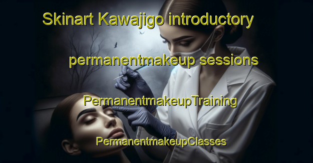 Skinart Kawajigo introductory permanentmakeup sessions | PermanentmakeupTraining | PermanentmakeupClasses | SkinartTraining-Japan