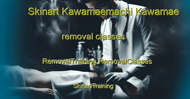 Skinart Kawamaemachi Kawamae removal classes | #RemovalTraining #RemovalClasses #SkinartTraining-Japan