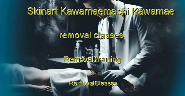 Skinart Kawamaemachi Kawamae removal classes | RemovalTraining | RemovalClasses | SkinartTraining-Japan