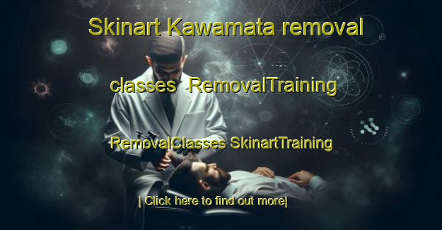 Skinart Kawamata removal classes | #RemovalTraining #RemovalClasses #SkinartTraining-Japan