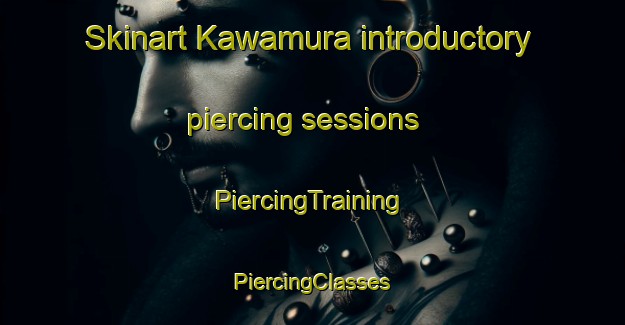 Skinart Kawamura introductory piercing sessions | #PiercingTraining #PiercingClasses #SkinartTraining-Japan