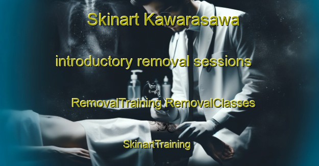 Skinart Kawarasawa introductory removal sessions | #RemovalTraining #RemovalClasses #SkinartTraining-Japan