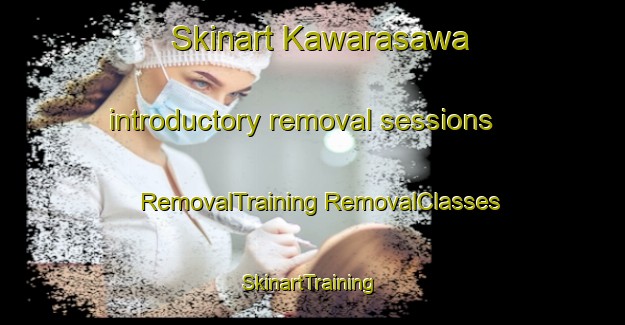 Skinart Kawarasawa introductory removal sessions | #RemovalTraining #RemovalClasses #SkinartTraining-Japan