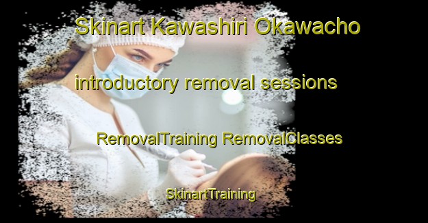 Skinart Kawashiri Okawacho introductory removal sessions | #RemovalTraining #RemovalClasses #SkinartTraining-Japan