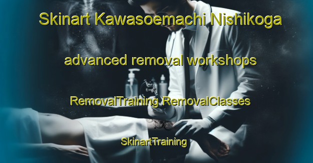 Skinart Kawasoemachi Nishikoga advanced removal workshops | #RemovalTraining #RemovalClasses #SkinartTraining-Japan