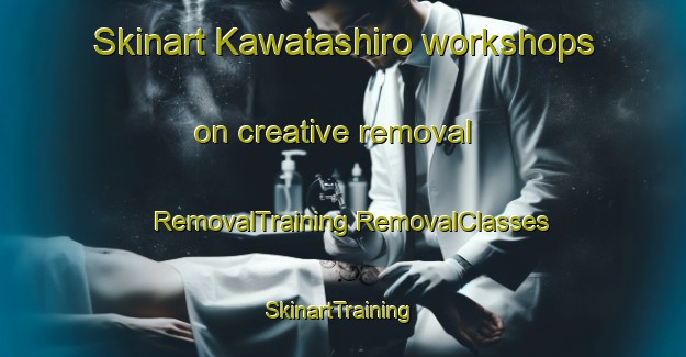 Skinart Kawatashiro workshops on creative removal | #RemovalTraining #RemovalClasses #SkinartTraining-Japan