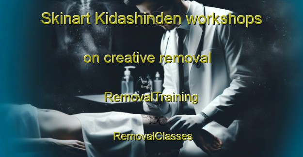 Skinart Kidashinden workshops on creative removal | RemovalTraining | RemovalClasses | SkinartTraining-Japan