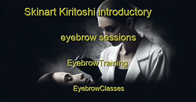 Skinart Kiritoshi introductory eyebrow sessions | EyebrowTraining | EyebrowClasses | SkinartTraining-Japan