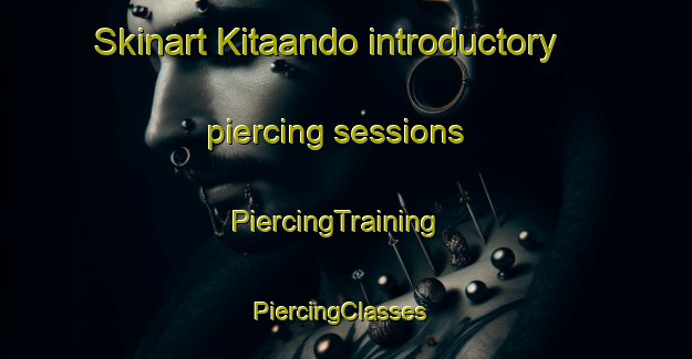 Skinart Kitaando introductory piercing sessions | PiercingTraining | PiercingClasses | SkinartTraining-Japan