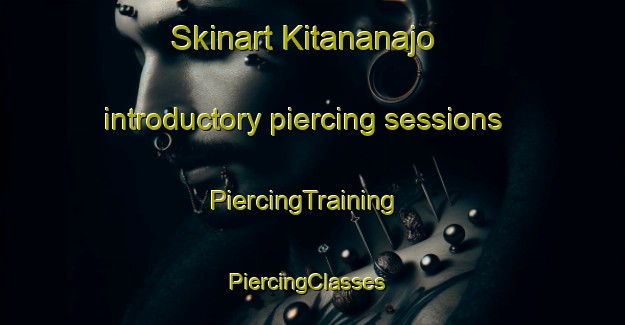 Skinart Kitananajo introductory piercing sessions | PiercingTraining | PiercingClasses | SkinartTraining-Japan