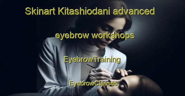 Skinart Kitashiodani advanced eyebrow workshops | EyebrowTraining | EyebrowClasses | SkinartTraining-Japan