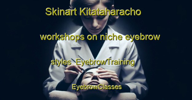 Skinart Kitataharacho workshops on niche eyebrow styles | EyebrowTraining | EyebrowClasses | SkinartTraining-Japan