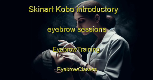 Skinart Kobo introductory eyebrow sessions | EyebrowTraining | EyebrowClasses | SkinartTraining-Japan