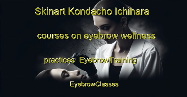 Skinart Kondacho Ichihara courses on eyebrow wellness practices | EyebrowTraining | EyebrowClasses | SkinartTraining-Japan