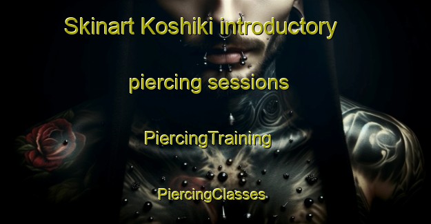 Skinart Koshiki introductory piercing sessions | PiercingTraining | PiercingClasses | SkinartTraining-Japan