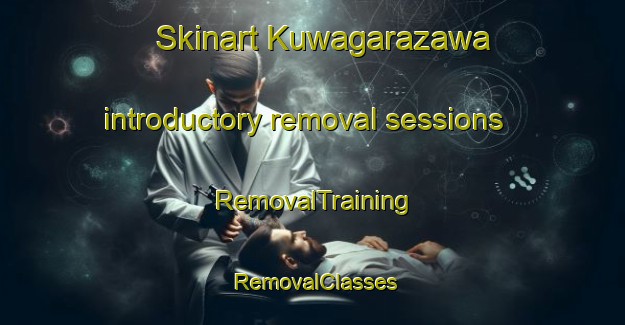 Skinart Kuwagarazawa introductory removal sessions | RemovalTraining | RemovalClasses | SkinartTraining-Japan