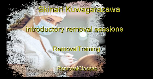 Skinart Kuwagarazawa introductory removal sessions | RemovalTraining | RemovalClasses | SkinartTraining-Japan
