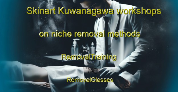 Skinart Kuwanagawa workshops on niche removal methods | RemovalTraining | RemovalClasses | SkinartTraining-Japan