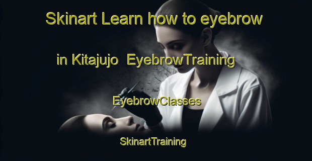 Skinart Learn how to eyebrow in Kitajujo | EyebrowTraining | EyebrowClasses | SkinartTraining-Japan