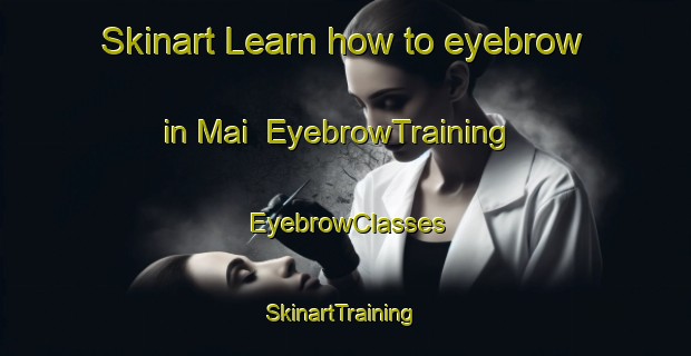 Skinart Learn how to eyebrow in Mai | EyebrowTraining | EyebrowClasses | SkinartTraining-Japan