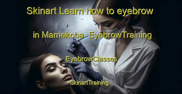 Skinart Learn how to eyebrow in Mamekoba | EyebrowTraining | EyebrowClasses | SkinartTraining-Japan