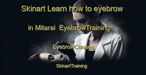 Skinart Learn how to eyebrow in Mitarai | EyebrowTraining | EyebrowClasses | SkinartTraining-Japan