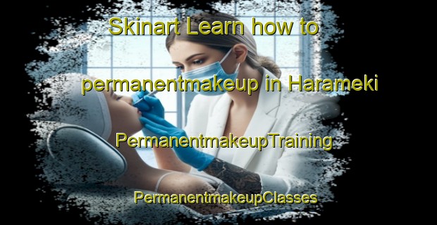 Skinart Learn how to permanentmakeup in Harameki | PermanentmakeupTraining | PermanentmakeupClasses | SkinartTraining-Japan