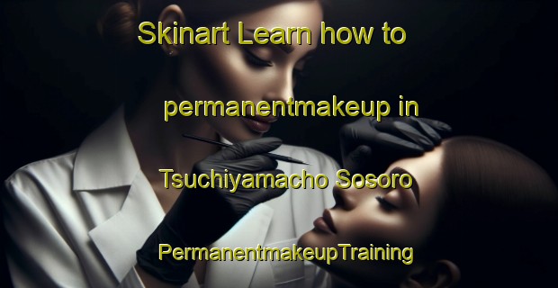 Skinart Learn how to permanentmakeup in Tsuchiyamacho Sosoro | PermanentmakeupTraining | PermanentmakeupClasses | SkinartTraining-Japan
