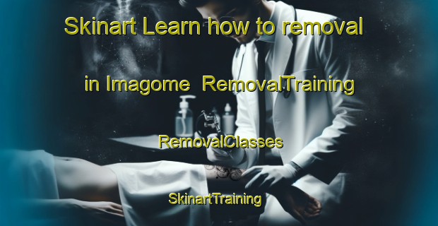 Skinart Learn how to removal in Imagome | RemovalTraining | RemovalClasses | SkinartTraining-Japan